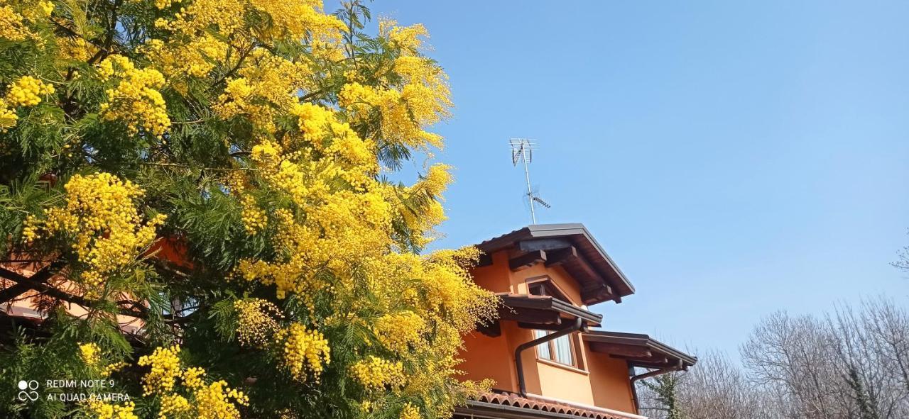 Appartamento I salici Candia Canavese Esterno foto